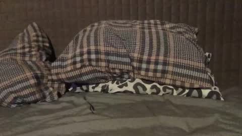 Snapshot of kiki3526 chatting on 11/23/25, 07:35 kiki3526 online show from 11/23/25, 07:35