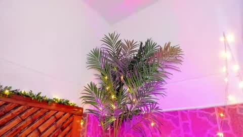 kimberly gonzalez online show from 01/11/25, 06:45