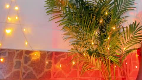 kimberly gonzalez online show from 01/17/25, 03:45