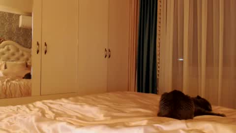 Kim Lee  online show from 12/14/24, 07:14