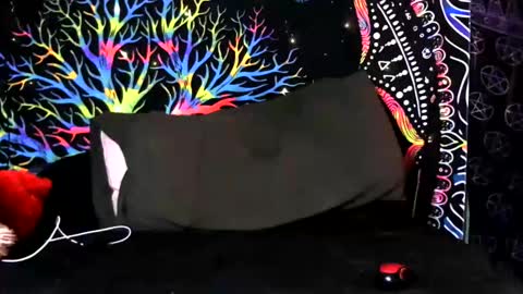 Snapshot of kingdawgg77 chatting on 02/06/26, 05:12 Jerry online show from 02/06/26, 05:12