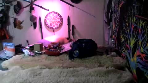 Snapshot of kingdawgg77 chatting on 03/07/26, 01:24 Jerry online show from 03/07/26, 01:24