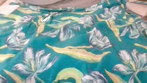 Snapshot of kingindisguise69 chatting on 02/18/25, 11:19 kingindisguise69 online show from 02/18/25, 11:19