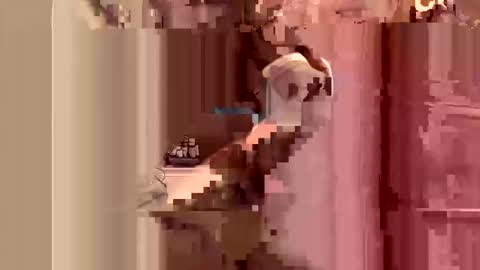 Snapshot of kingslimfresh chatting on 03/24/26, 01:10 kingslimfresh online show from 03/24/26, 01:10