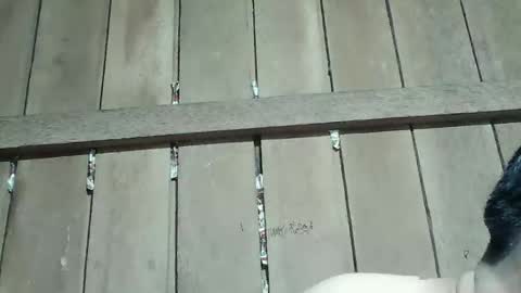 Snapshot of kingsucker2069 chatting on 01/16/26, 04:00 Ruru online show from 01/16/26, 04:00