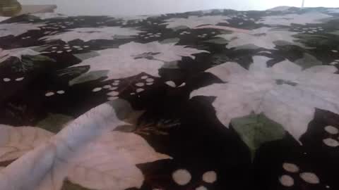 Snapshot of kinky_k80 chatting on 11/24/25, 02:50 Kinky K80 online show from 11/24/25, 02:50