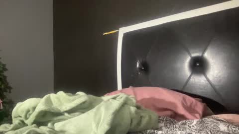 Snapshot of kinkykittee chatting on 02/01/25, 03:08 Bunniii online show from 02/01/25, 03:08