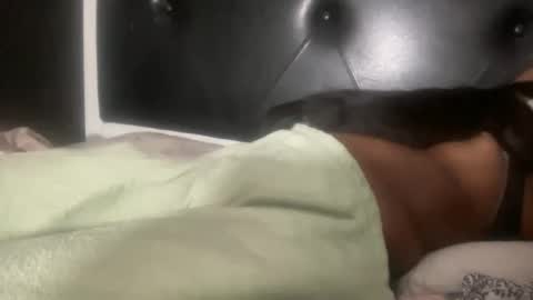 Snapshot of kinkykittee chatting on 02/03/25, 05:40 Bunniii online show from 02/03/25, 05:40