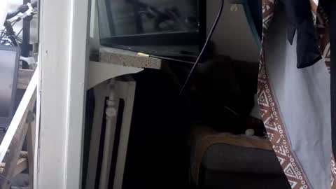 Kinky Himeros online show from 05/21/26, 03:30