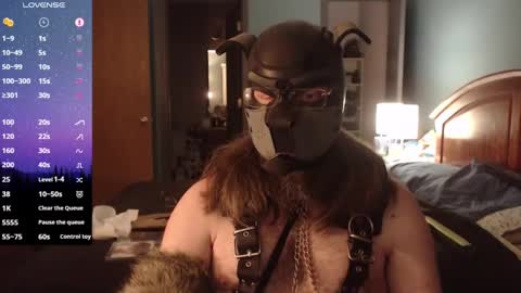 kinkywolf87 online show from 01/15/25, 01:02