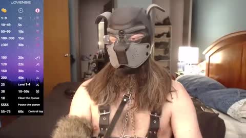 kinkywolf87 online show from 02/23/25, 07:38