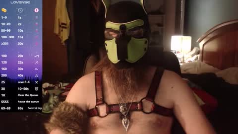 kinkywolf87 online show from 05/20/26, 05:57