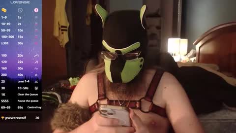 kinkywolf87 online show from 06/09/26, 11:49