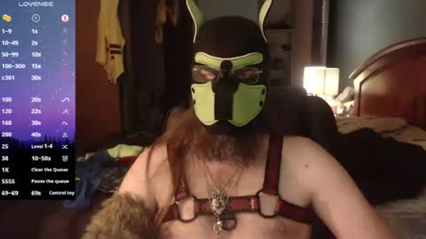 kinkywolf87 online show from 06/11/26, 11:58