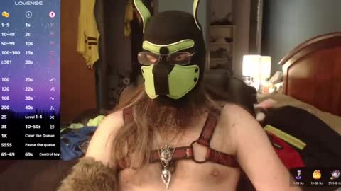kinkywolf87 online show from 06/12/26, 06:40