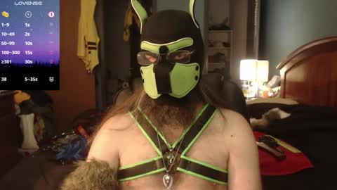 kinkywolf87 online show from 06/15/26, 05:26
