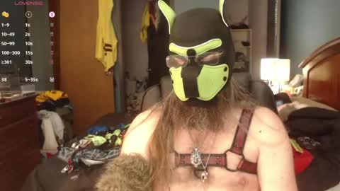 kinkywolf87 online show from 06/22/26, 07:22