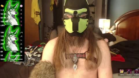 kinkywolf87 online show from 06/29/26, 07:14