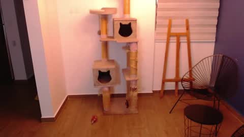 kintsugi online show from 11/07/25, 04:01