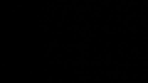 M A R A  online show from 12/05/25, 12:19