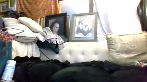 Snapshot of kishan2525 chatting on 03/07/26, 09:06 Kishan2525 online show from 03/07/26, 09:06