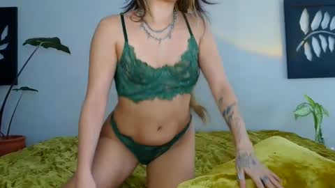 Rose online show from 03/01/25, 07:37