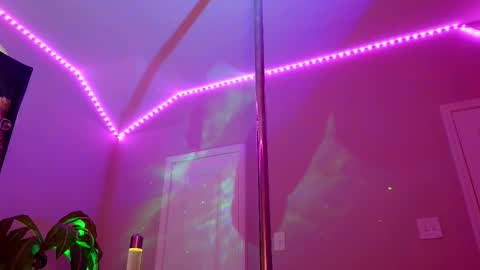 Rose online show from 11/05/25, 11:27