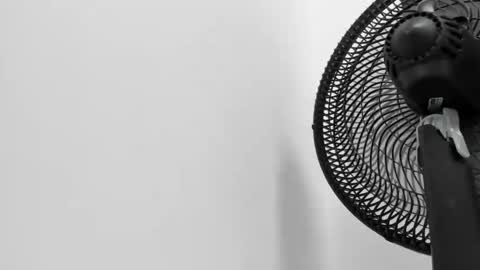 Kitty Dream01 online show from 03/07/26, 07:00