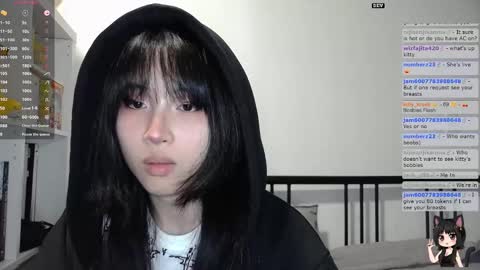 Kitty online show from 11/07/25, 02:00