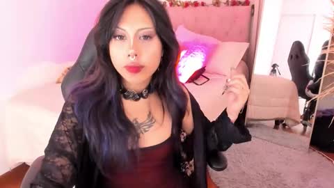 Kitty online show from 02/08/26, 08:18