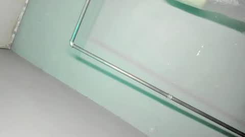 Grace online show from 11/29/25, 09:45