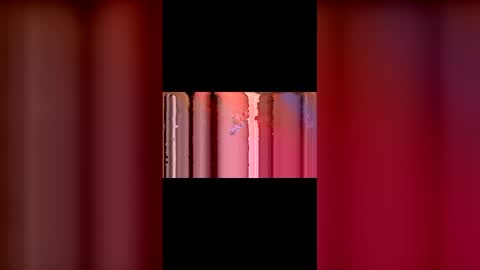 Snapshot of kittypurrrrry chatting on 03/02/26, 05:31 kittypurrrrry online show from 03/02/26, 05:31