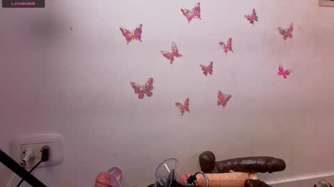 Kitty online show from 01/17/26, 12:59