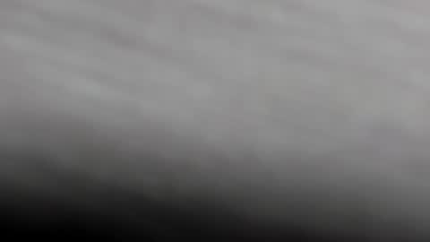  K I T T  Y  online show from 02/01/25, 11:21