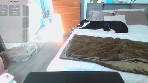 Kittyymaze online show from 01/14/25, 04:50