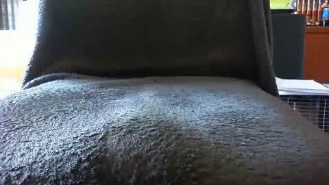 kledenn online show from 10/25/25, 10:23