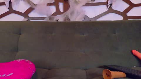 Snapshot of kloe_bella chatting on 10/27/25, 03:38 kloe_bella online show from 10/27/25, 03:38