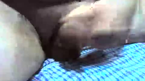 Snapshot of klok8230 chatting on 12/16/25, 02:38 klok8230 online show from 12/16/25, 02:38