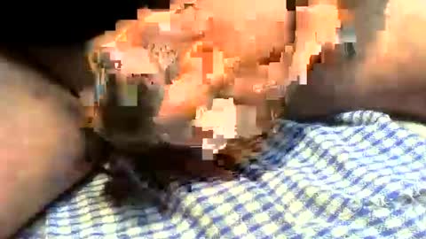 Snapshot of klok8230 chatting on 03/27/26, 01:22 klok8230 online show from 03/27/26, 01:22