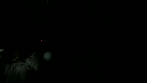 Snapshot of knight_rider118 chatting on 03/11/25, 09:24 knight_rider118 online show from 03/11/25, 09:24