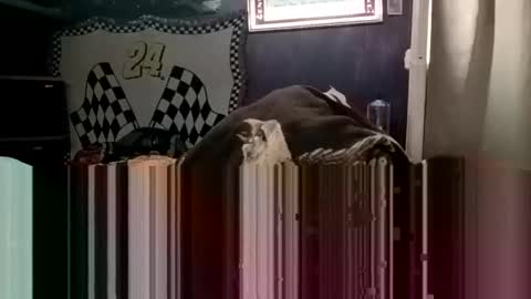 knock2wice1975 online show from 01/20/25, 04:32