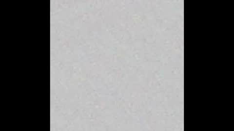 knox_steele online show from 11/30/25, 09:35