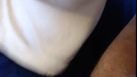 Snapshot of konradboy chatting on 03/06/25, 09:25 Konrad online show from 03/06/25, 09:25