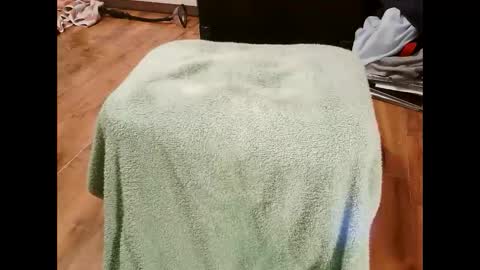 kotek400 online show from 01/30/25, 08:10