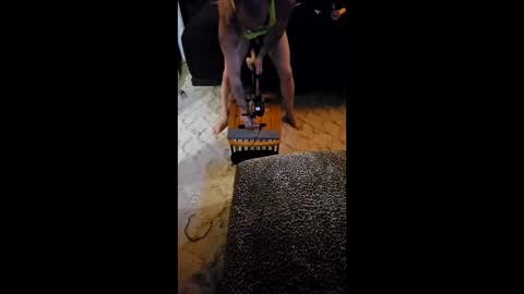 krystltymeup online show from 03/11/26, 11:00