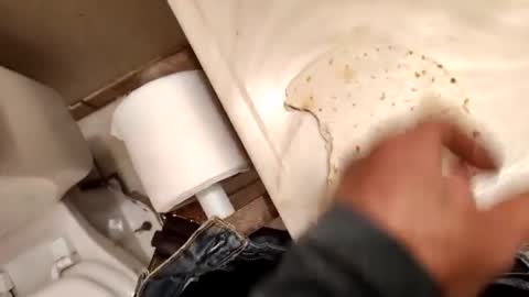 Snapshot of kumnnkevsuks4 chatting on 01/16/25, 08:14 kumnnkevsuks4 online show from 01/16/25, 08:14