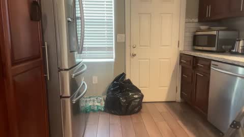 Snapshot of kylie_star30 chatting on 02/06/26, 10:24 kylie_star30 online show from 02/06/26, 10:24