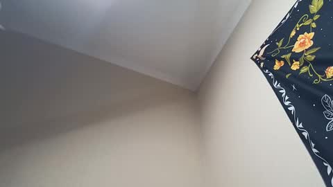 Snapshot of l_adonis_l chatting on 02/28/25, 04:32 Adonis online show from 02/28/25, 04:32