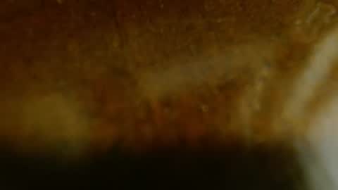 Snapshot of la_teaser chatting on 11/20/25, 01:17 la teaser online show from 11/20/25, 01:17