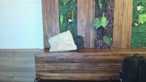 labrinthteasing online show from 03/02/26, 12:23